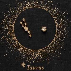 BROOKLYN TAG Taurus Sign Constellation Earrings with Crystals